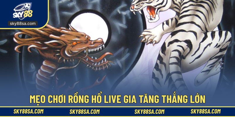 Áp dụng kinh nghiệm chơi rồng hổ trực tuyến để thắng lớn