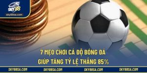 Mẹo Chơi Cá Độ Bóng Đá