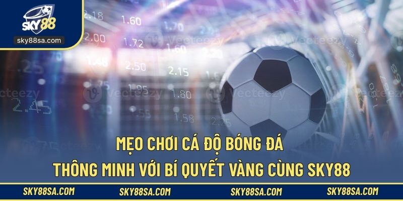 Mẹo chơi cá độ bóng đá thông minh với bí quyết vàng cùng SKY88