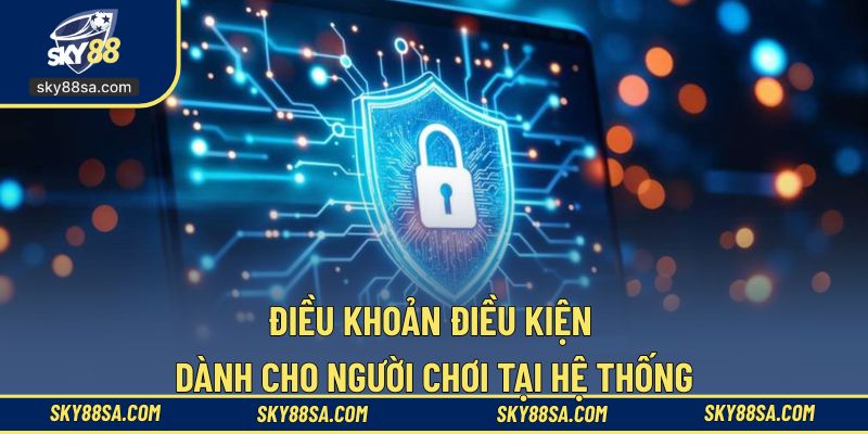 Tổng hợp nội dung điều khoản điều kiện tại hệ thống